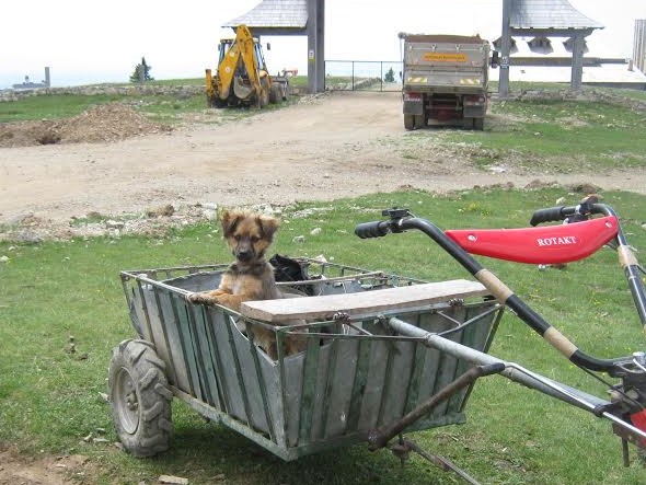 Legea Salarizării Unitare A Fost Promulgată Si Devine Legea Nr 153 28 06 2017 Huhurez Com