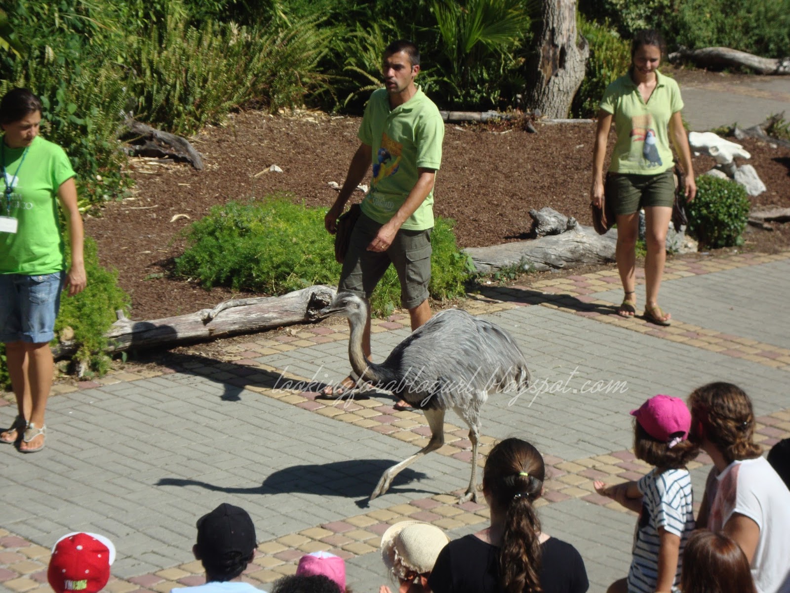 Jardim Zoológico de Lisboa parte III Insight