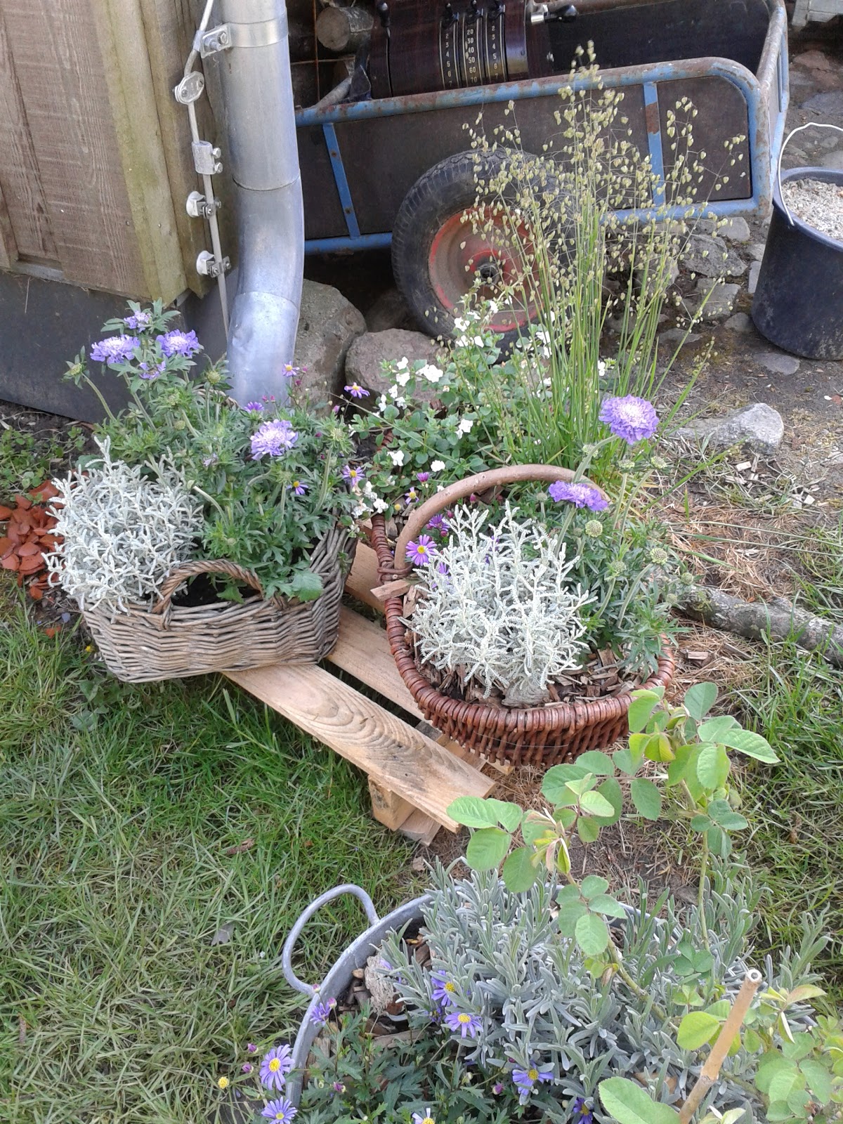 Entschleunigung Im Bezaubernden Maasholm