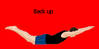 Latihan Otot Punggung (Back up) Latihan Otot Punggung (Back up)