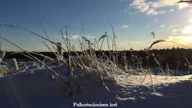 Kuva aamuiselta lenkiltä ihanasta luonnosta #talvimaisema #luontokuva #talvi #winter #feelgood #peaceful #sisäinenrauha #kaunisluonto #suomenluonto #snowynature