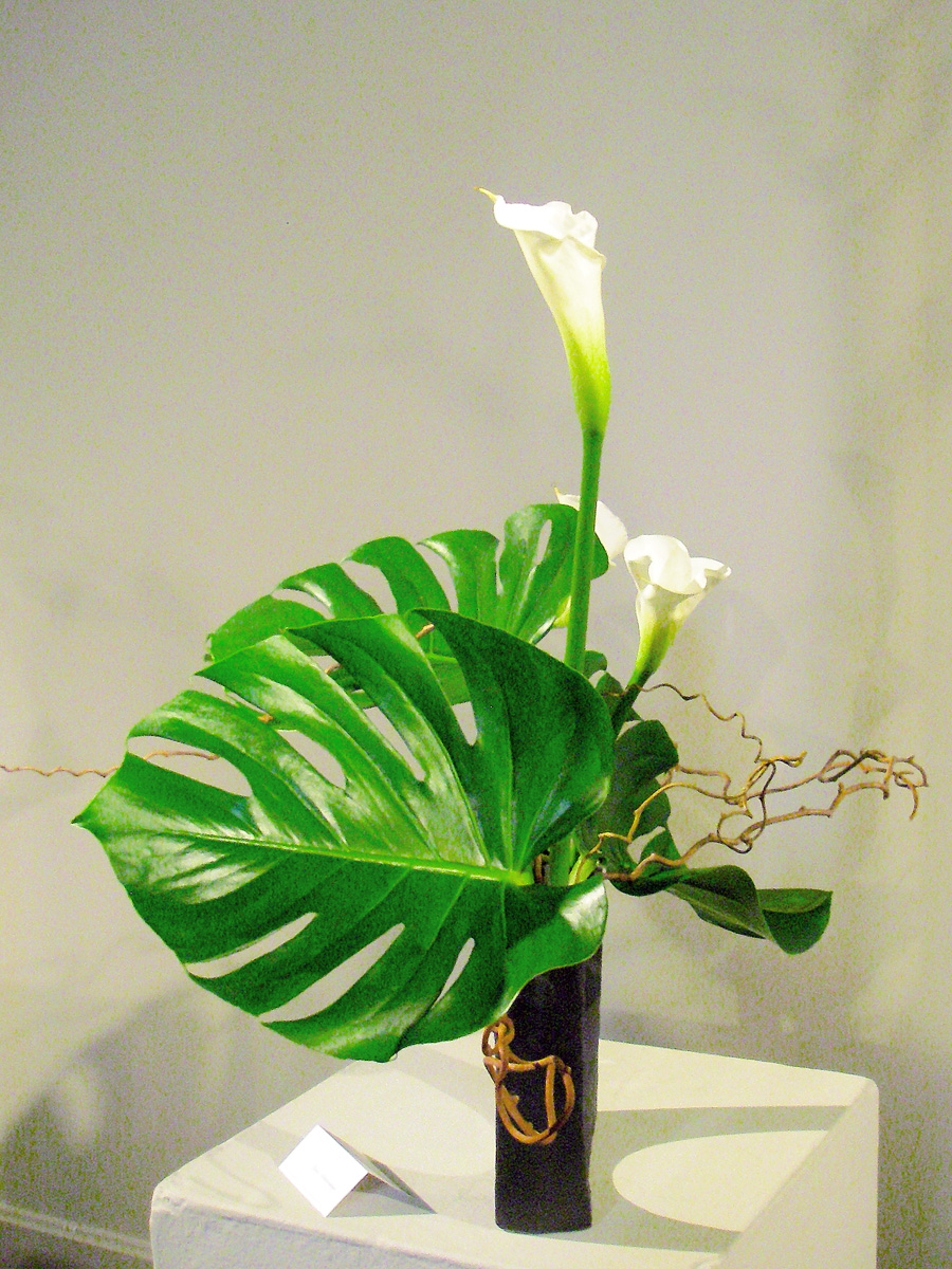 Ikebana exposition SAS does Ikebana exposition