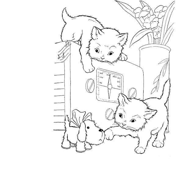 baby cat and baby seal coloring pages - photo #32