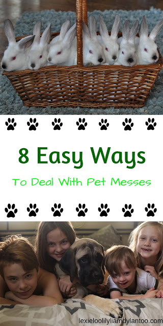8 Easy Ways To Deal With Pet Messes #pets #dogs #rabbits #cleaning #petblogger #Embracelifesmesses #TheLibmanCompany #sponsored