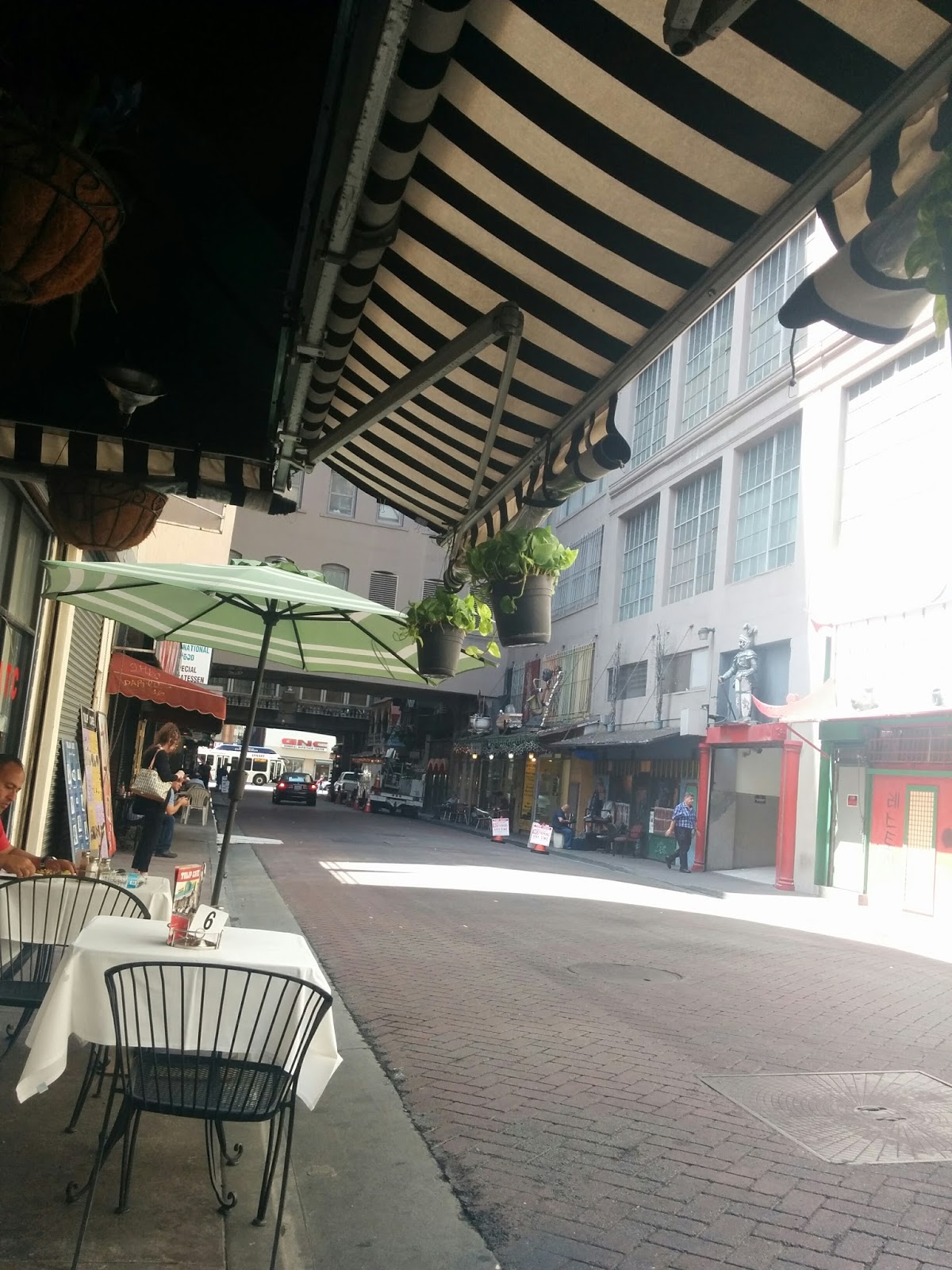 TRAVELS (and more) WITH CECILIA BRAINARD Restaurant Review Tulip Cafe