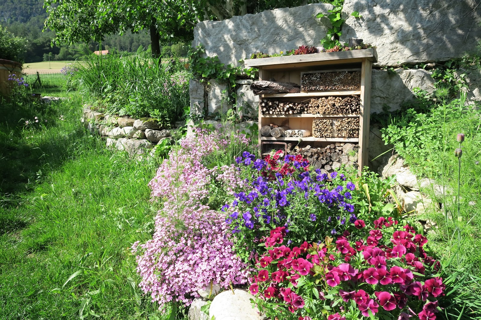 JURA GARTEN Garten im Mai