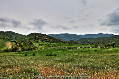 Hellas photography Nature Visaltia serres