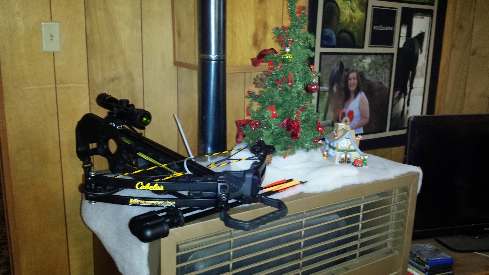 Expanding Horizons and New Beginnings