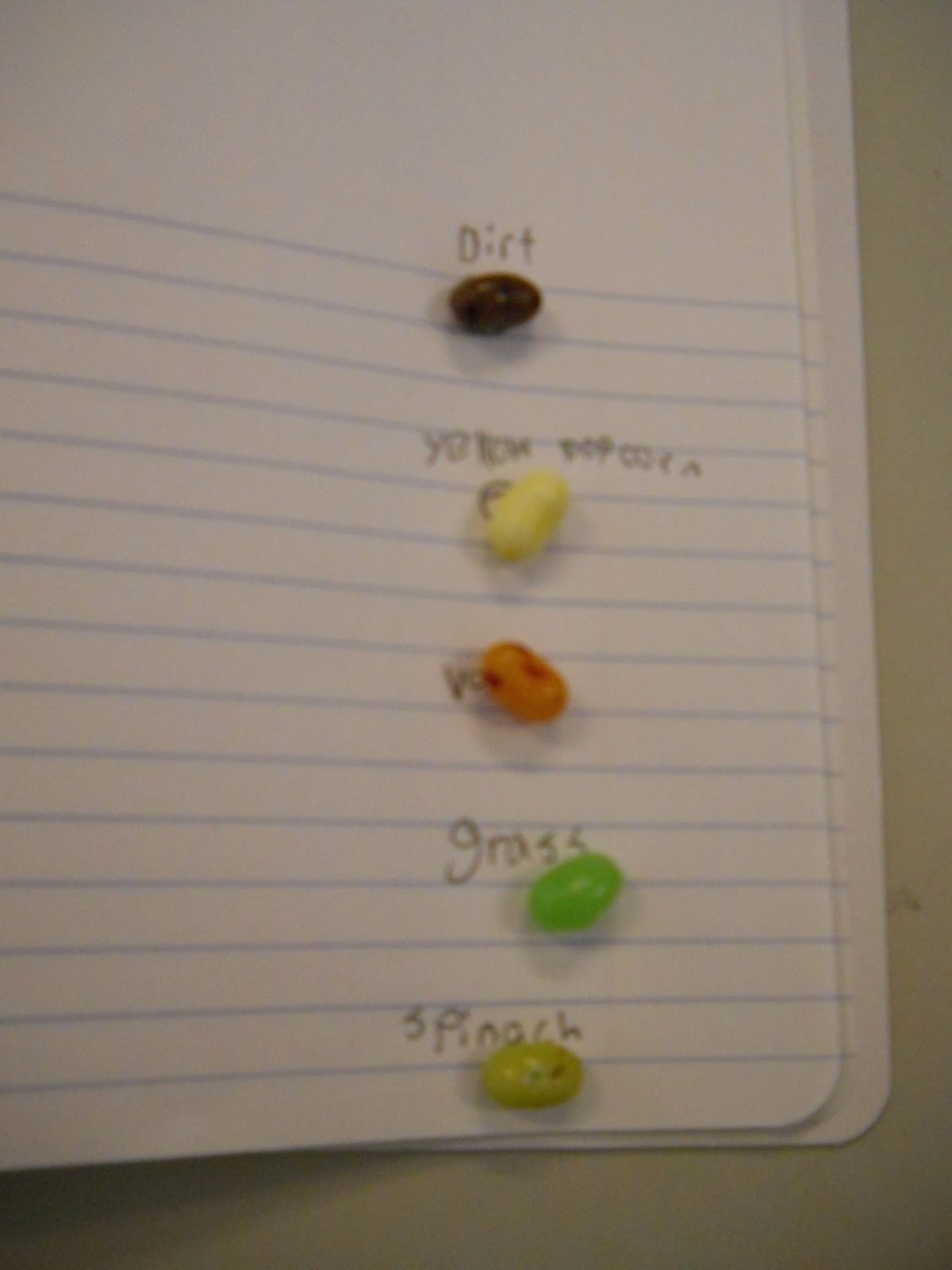 PCCS Science Classification and Dichotomous Keys using Bertie Bott's