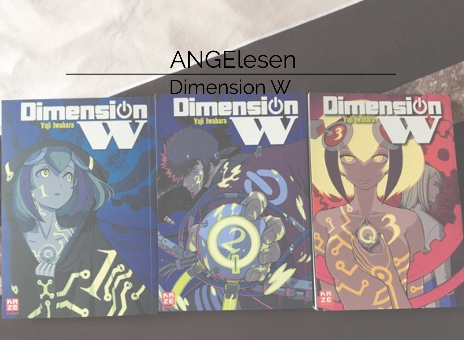 Review zum Manga Dimension W Review zum Manga Dimension W