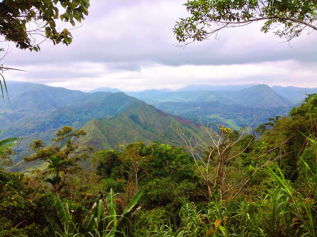 Lost in Paradise: First Solo Hike in Mt. Kapugan - From The Highest ...