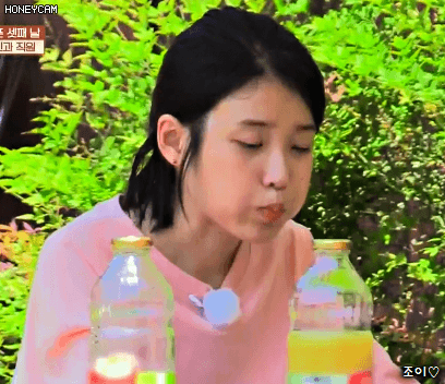 효리네민박 3화 아이유(섹시가수 이지은).gif | 인스티즈