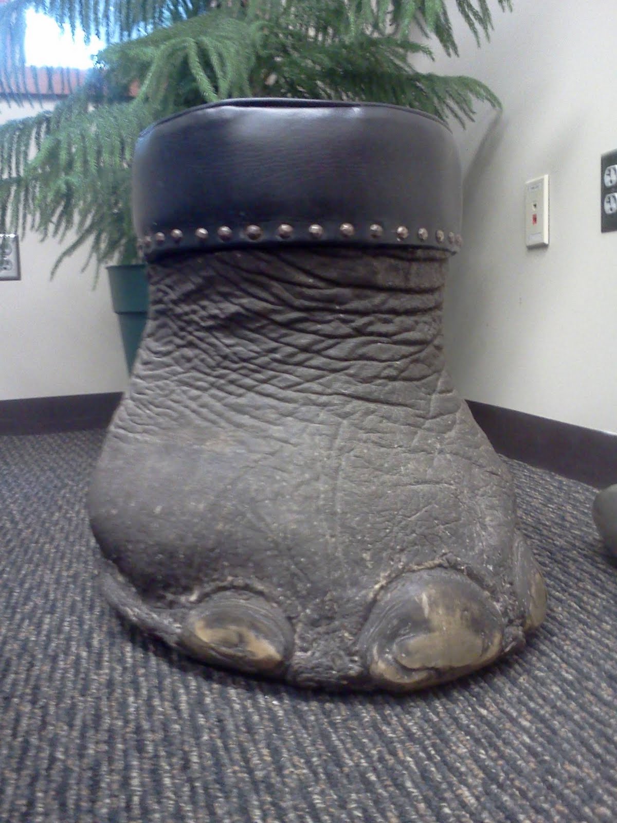 Hello, my name is Diana. Here you will find news about my work and