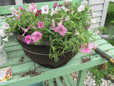 Planted container-Vickie's Kitchen and Garden