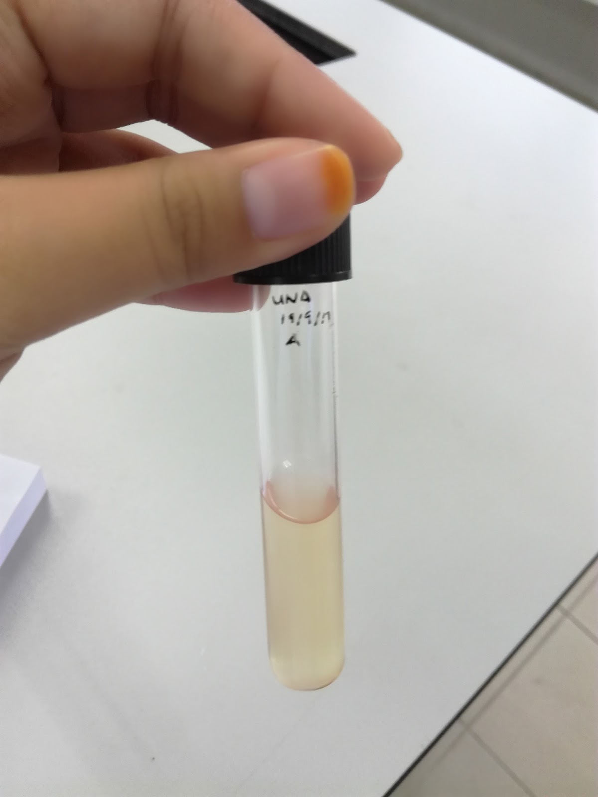 THE FIRST EXPERIMENT