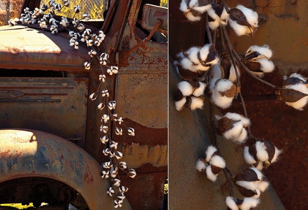 Inspirations By D Decorating With Cotton Stems