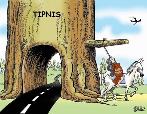 Resultado de imagen para paisajes del tipnis