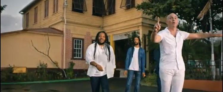 pitbull fan unleashed