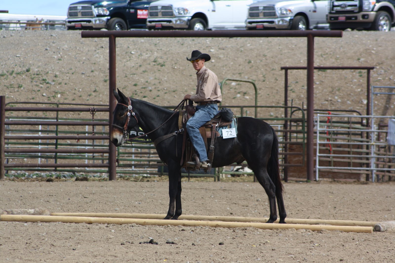 PairADice Mules: Trail Preview Jake Clark Mule Sale