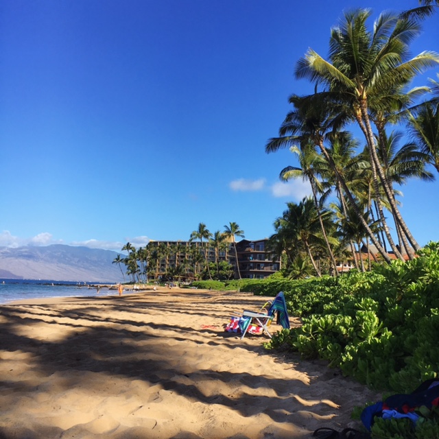 20 Things To Know About Living In Hawaii Modern Bohemian Lifestyle