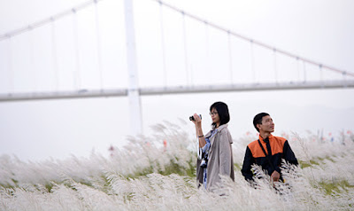 ve-may-bay-di-da-nang-2 ve-may-bay-di-da-nang-2