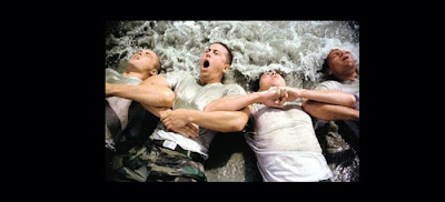 seals_17.jpg