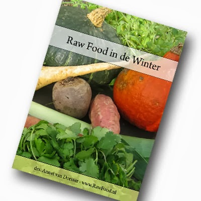 Aanbieding eBook "Raw Food in de Winter"