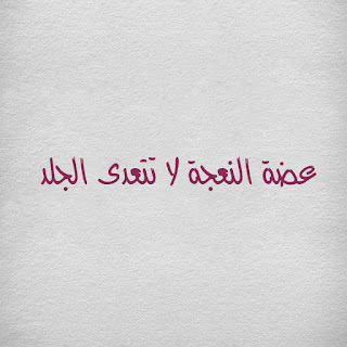 حكم ومواعظ فى الحياة .. - صفحة 31 %25D8%25AD%25D9%2583%25D9%2585%2B%25D9%2588%25D8%25A7%25D9%2585%25D8%25AB%25D8%25A7%25D9%2584%2B%25D8%25B9%25D9%2586%2B%25D8%25A7%25D9%2584%25D8%25A7%25D8%25B0%25D9%2589%2B%252C%2B%25D9%2583%25D9%2584%25D8%25A7%25D9%2585%2B%25D8%25B9%25D9%2586%2B%25D8%25A7%25D8%25B0%25D9%2589%2B%25D8%25A7%25D9%2584%25D9%2586%25D8%25A7%25D8%25B3%2B%25288%2529