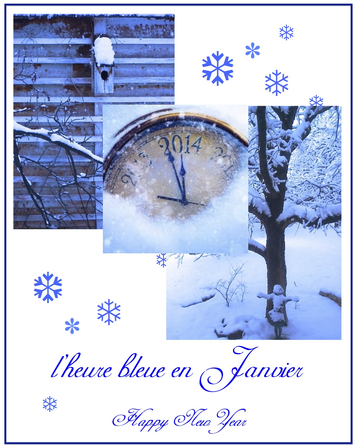 Botanic Bleu: January - The Blue Hour