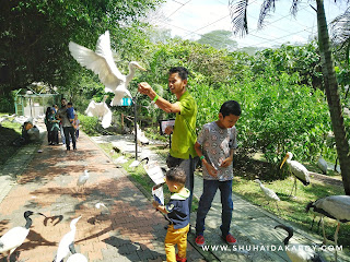 Jalan-Jalan ke Bird Park Kuala Lumpur Jalan-Jalan ke Bird Park Kuala Lumpur