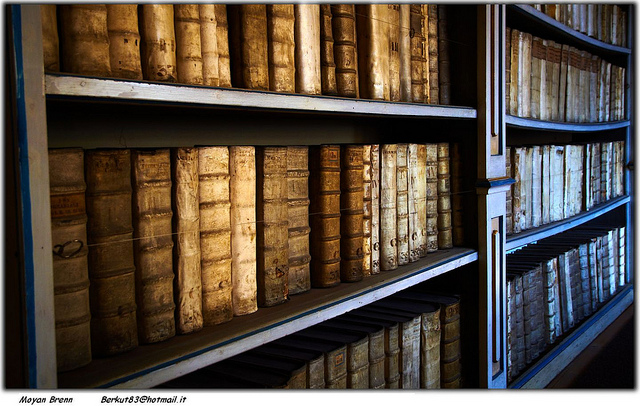 Squatters Re-Open Friern Barnet Library