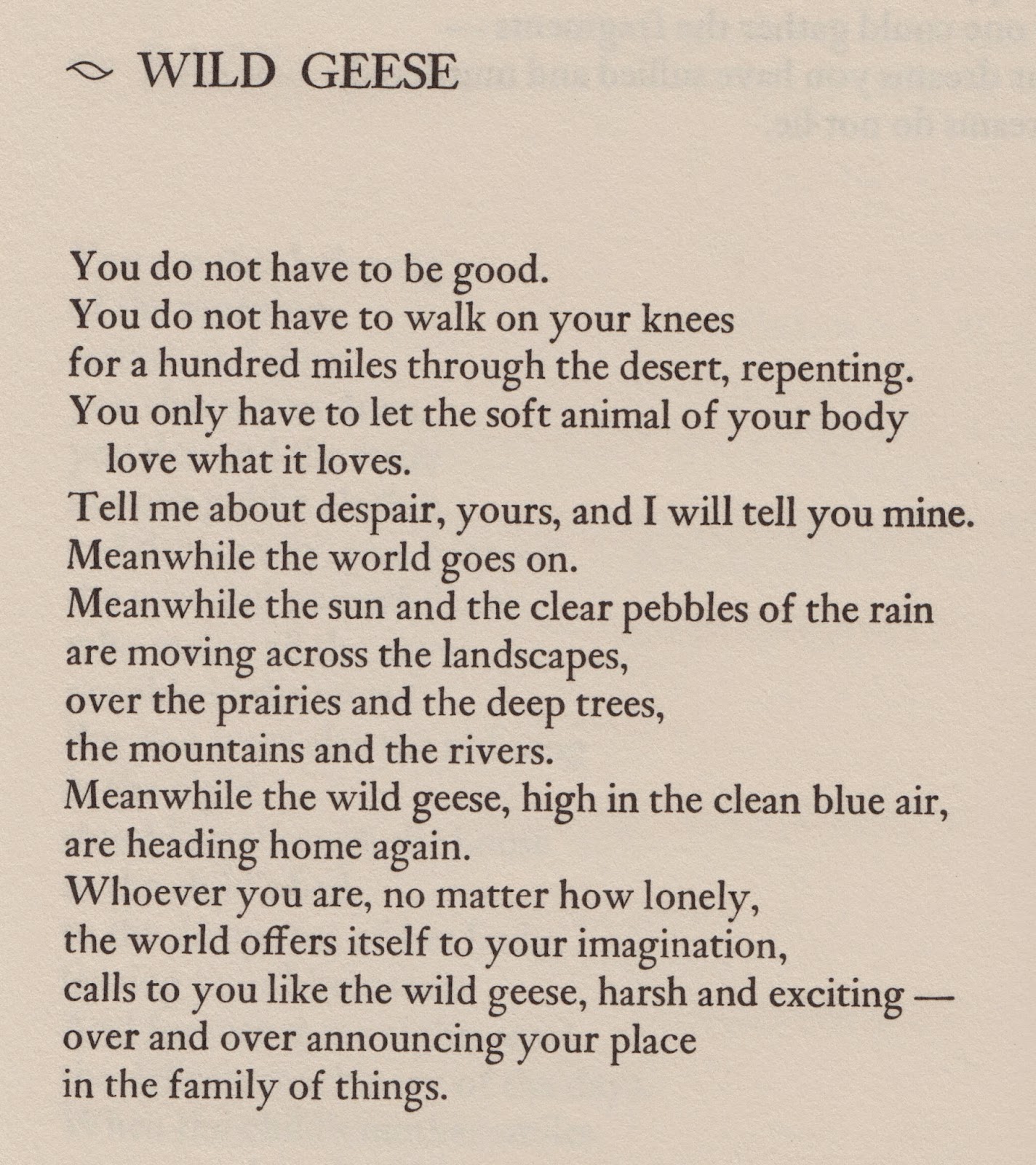 Poem Bouquet Mary Oliver Poem Bouquet Mary Oliver