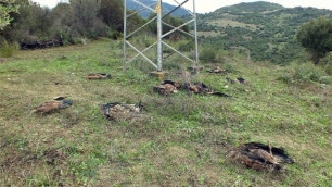 Encuentran diez buitres muertos bajo un poste de alta tensión en Casares