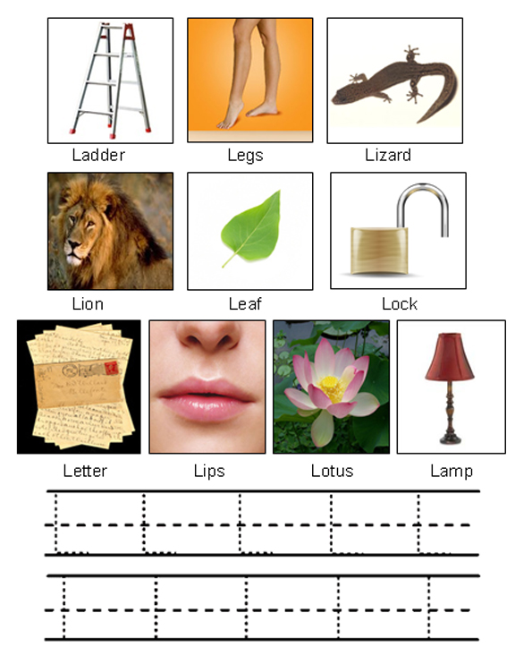 Picture of Objects Starting with Letter L
