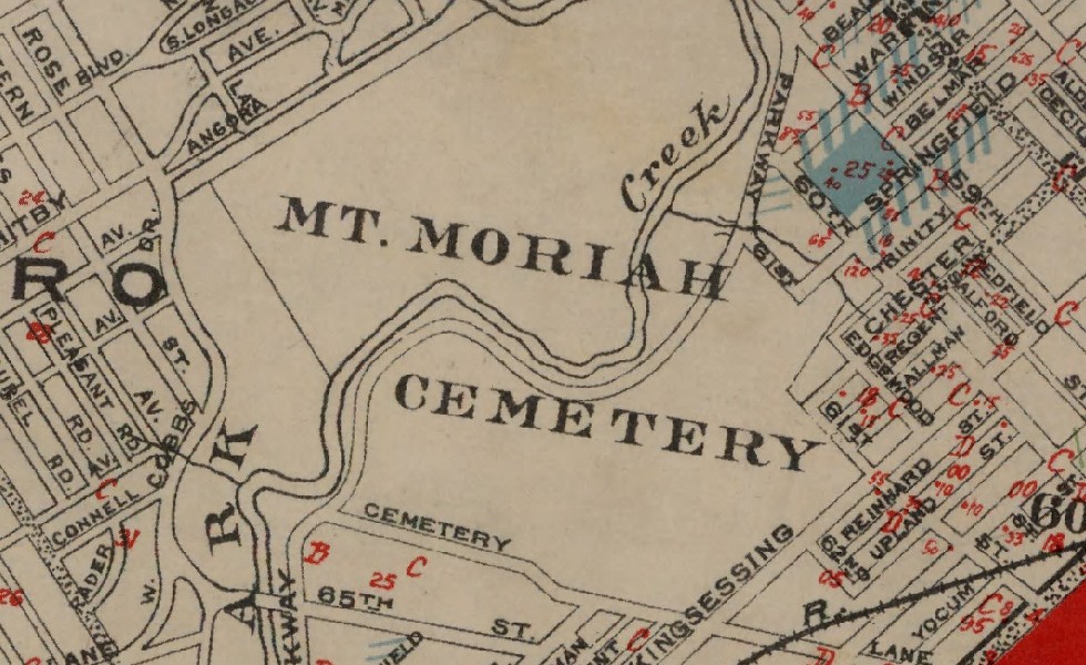 My Moynahan Genealogy Blog Abandoned Mt. Moriah Cemetery A