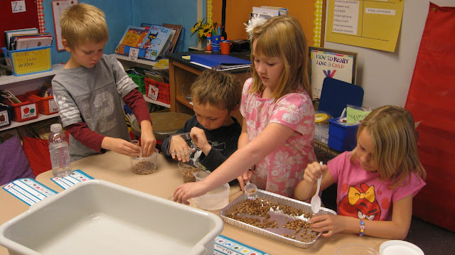 Finding the Balance: 1st grade.