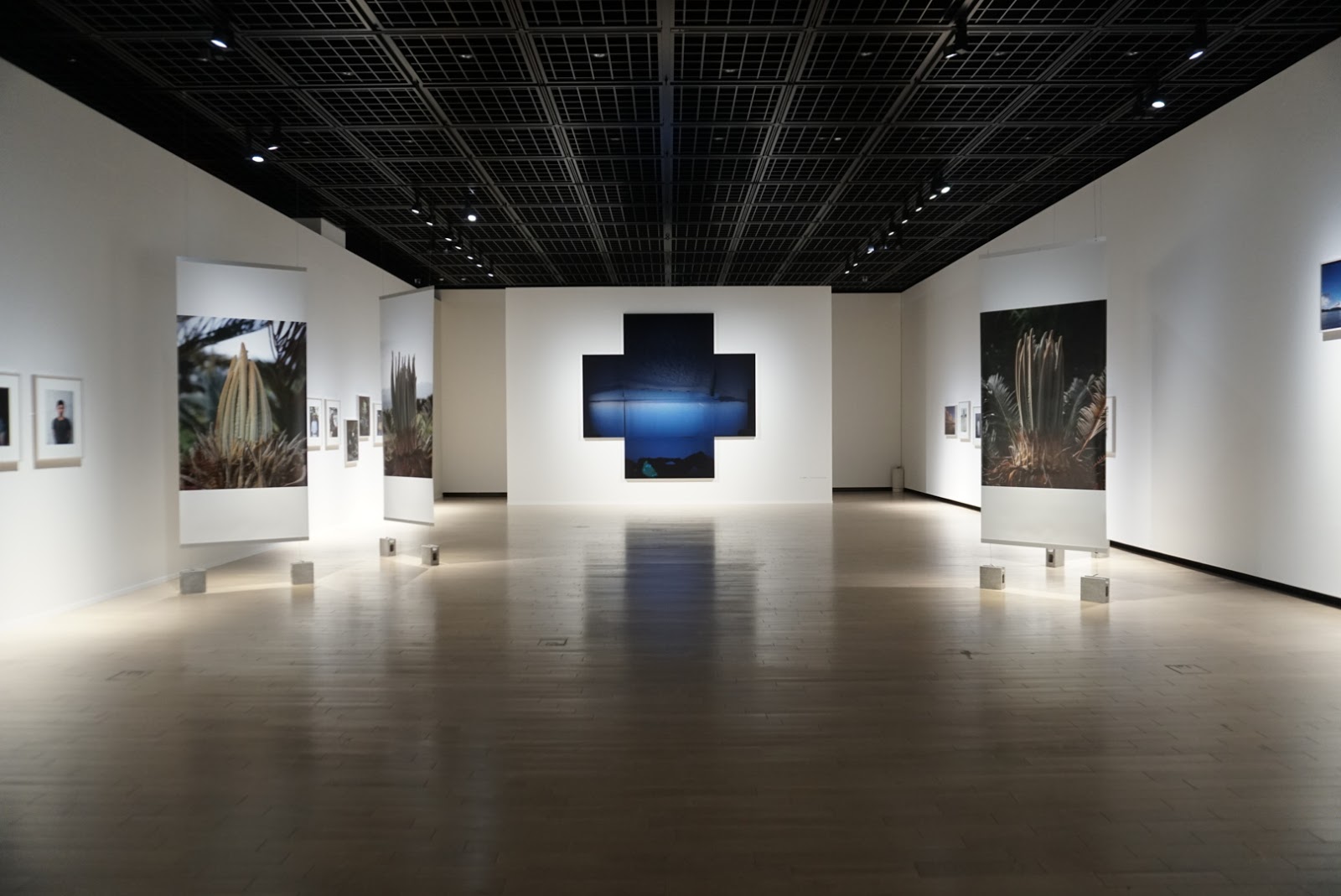 (出典: 未確認 Wiki / 転載)