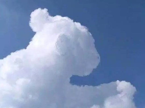 Σύννεφα σε μορφές ζώων top ten