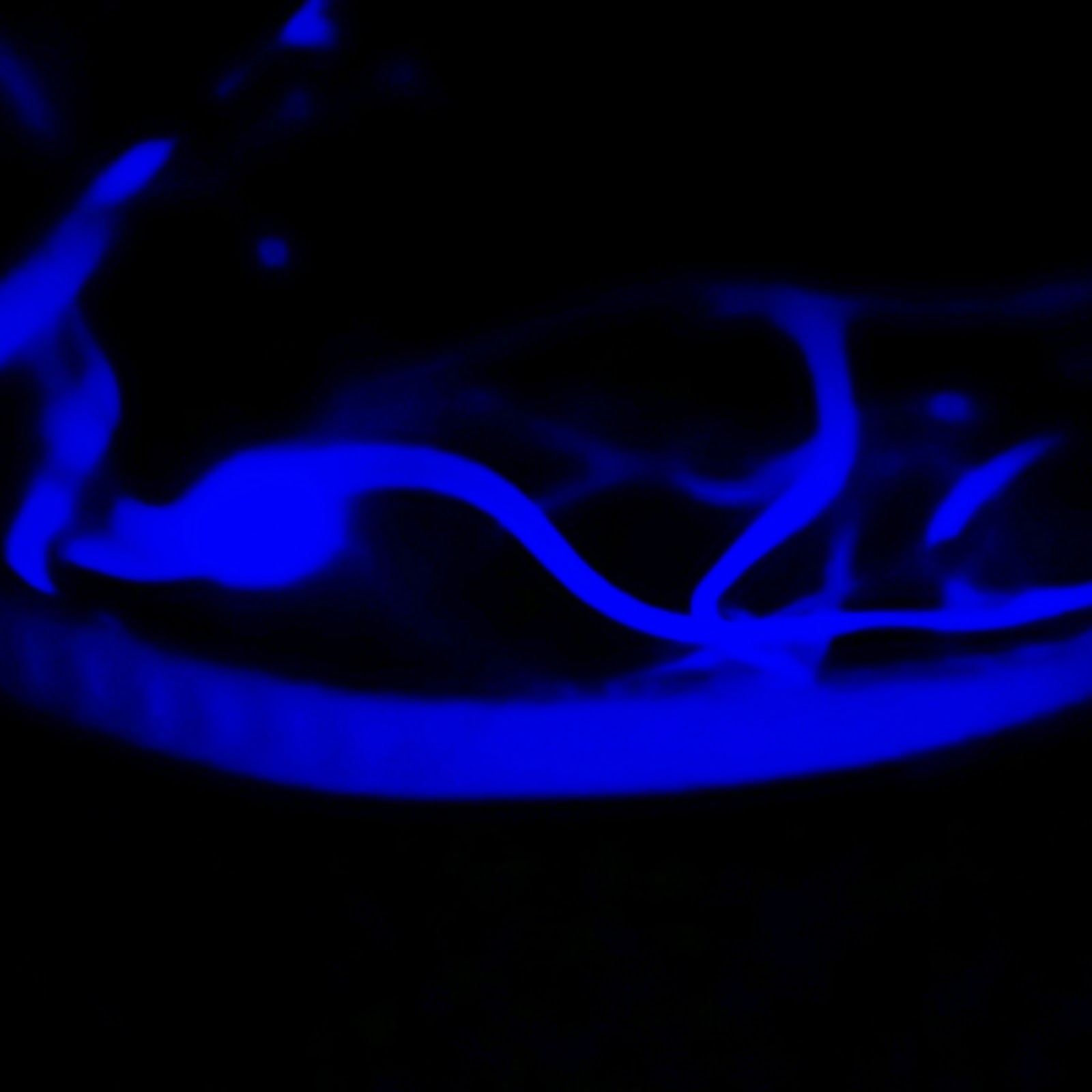 adidas zx flux neutron