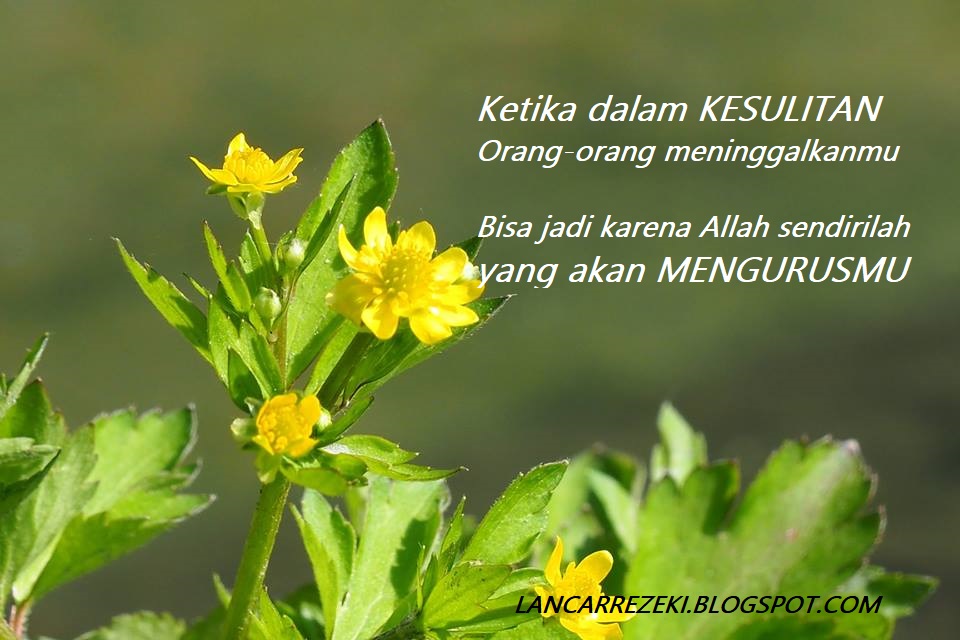Begini Harusnya Suami Istri Itu Bersikap