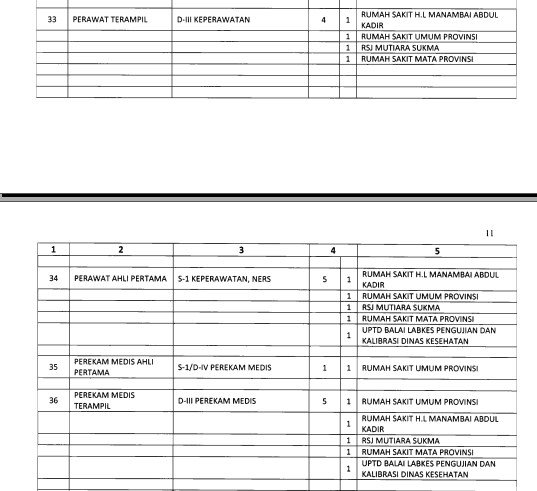 Download Formasi CPNS 2018 NTB Semua Kabupaten Dan Kota Download Formasi CPNS 2018 NTB Semua Kabupaten Dan Kota
