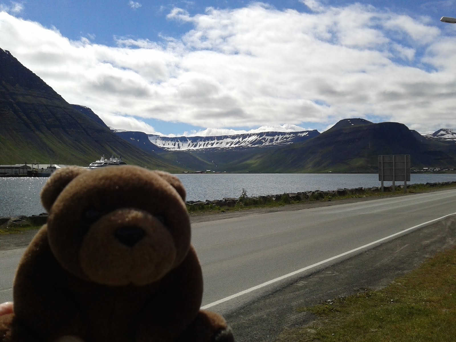 Teddy Bear in Ísafjörður, Iceland