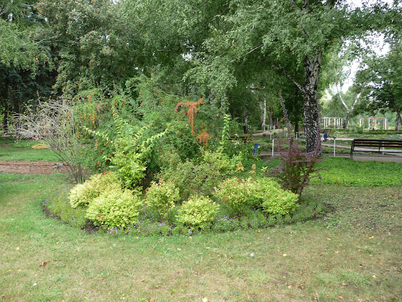 Донецьк. Ботанічний сад