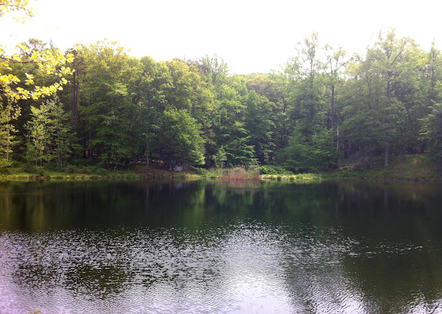 Doodletown Reservoir