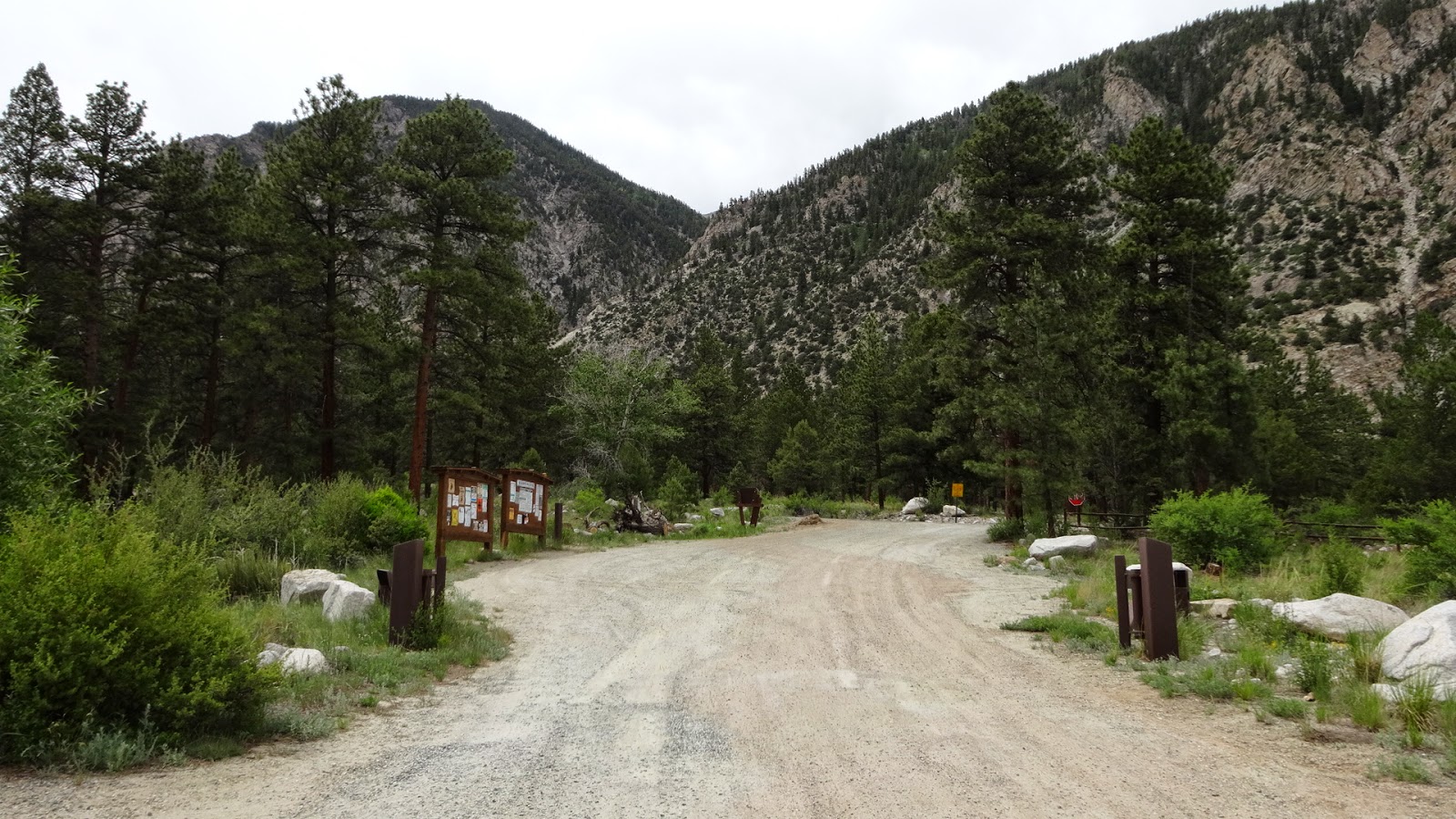 National Forest Camper Mt Princeton Campground