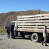 Río Negro: Decomisan un importante cargamento de madera