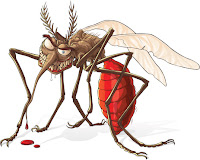 VIRUS ZICA O ZIKA. - Página 2 Mosquito