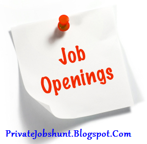 www.csb.co.in-Catholic Syrian Bank CSB Recruitment for various posts 2013