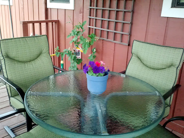 chore,prompt,clean,patio,table,chairs,flowers,