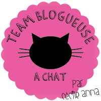 Pour rejoindre la Team Blogueuse à chat, c'est par ici ...